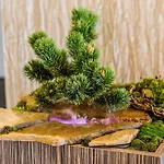 Green City Hotel Hotel 3*